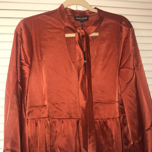 π₯HPπ₯David Lerner necktie Blouse.π₯π₯π₯π₯π₯π₯ - Picture 5 of 6